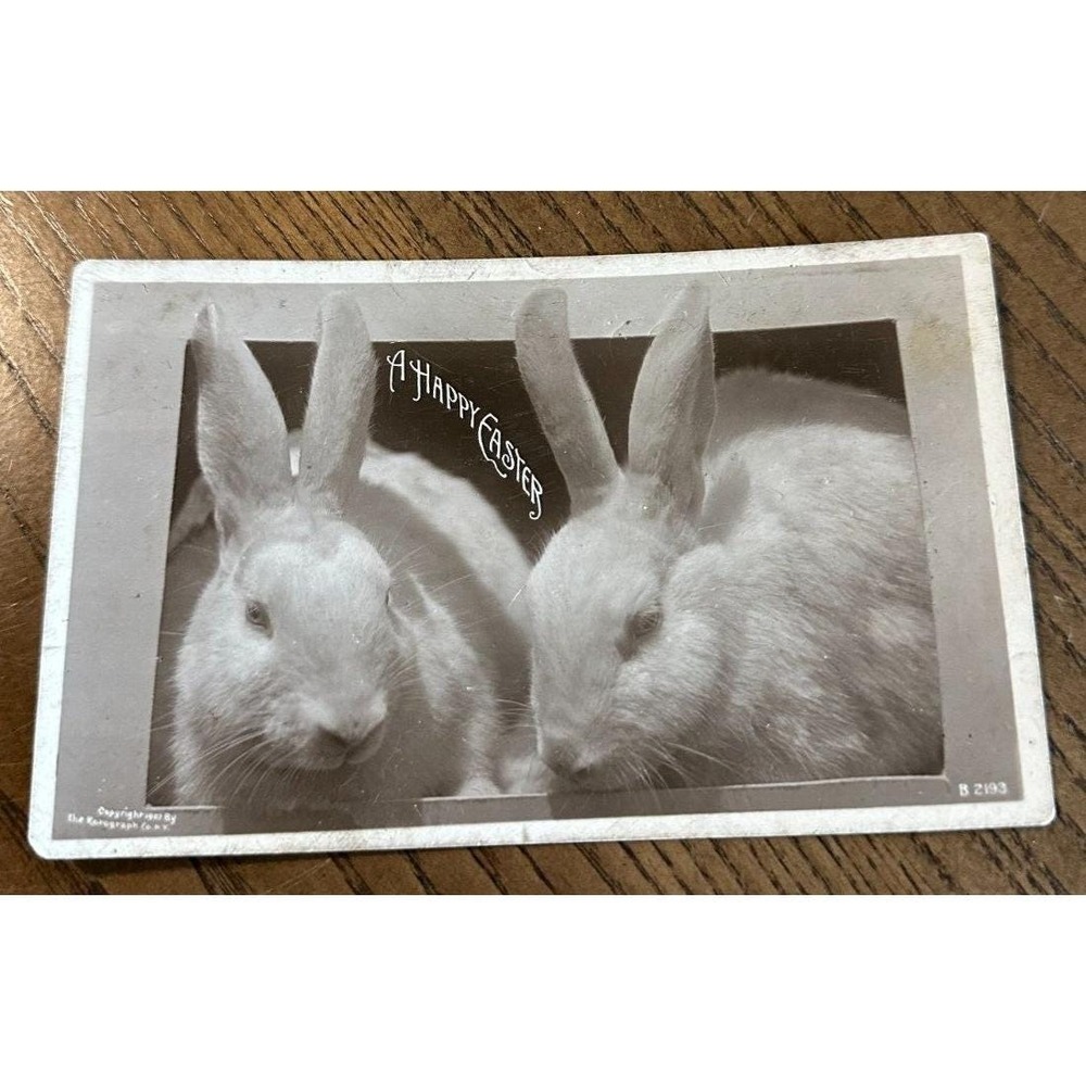 1907 RPPC‎ A Happy Easter Real Rabbits The Rotograph Co Old Vtg Postcard